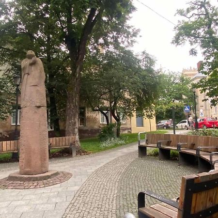 Izuminka V Centre Goroda Lviv Buitenkant foto
